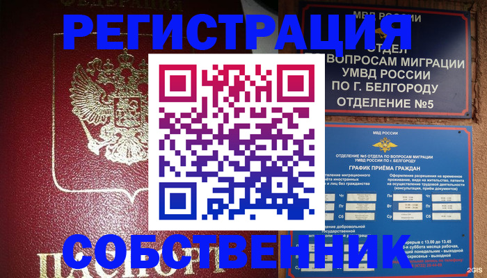 прописка 2025 в Мытищах